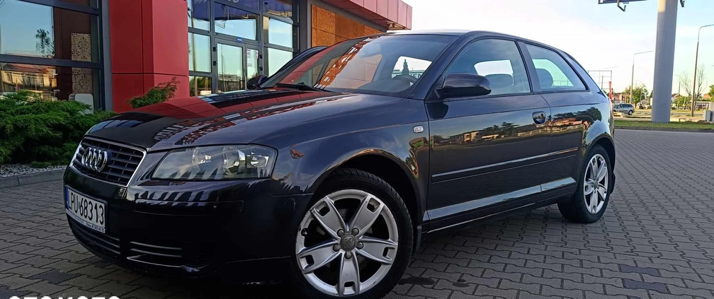 Audi A3 cena 15900 przebieg: 183000, rok produkcji 2004 z Radom małe 106